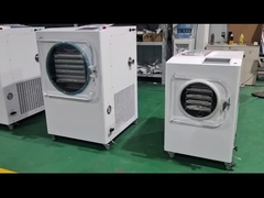 0.36-1.6m2 HT-4S/6S/9S/14S Fast Delivery Fresh Keeping Home Freeze Dryer