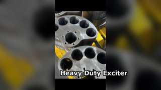 Heavy Duty Vibrating Screen Exciter for Mining & Aggregate Screening Plants