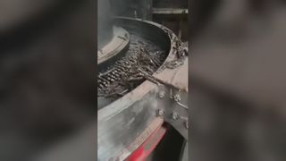Biomass Pellet Machine in Action: Stable High Output