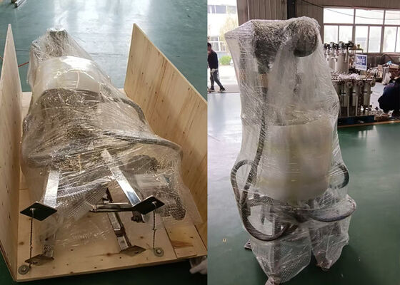 Chemical Solution Explosion-Proof Internal Scraper Self-Cleaning Filter Housing