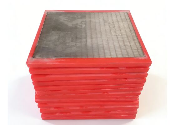Hybrid Polyurethane Stainless Steel 316L Polywedge Screen Panel for Sludge Dewatering
