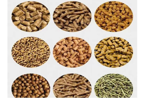 Hydraulic Biomass Briquette Machine 25 Tons Pressure for Sawdust