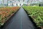 Anti-grass Cloth Weed Mat With Black Color PP Woven Geotextile