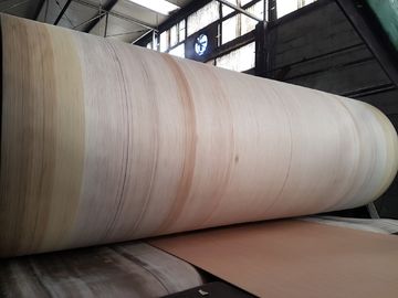 Aramid Edge Corrugator Belt High Durability For BHS , FOSBER , MARQUIP Corrugated Line
